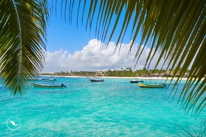 Akumal: 🐢🌴 5 días en el Caribe mexicano con playas espectaculares… - Image 3