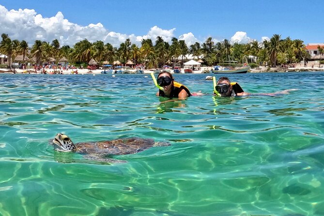 Akumal: 🐢🌴 5 días en el Caribe mexicano con playas espectaculares… - Image 4