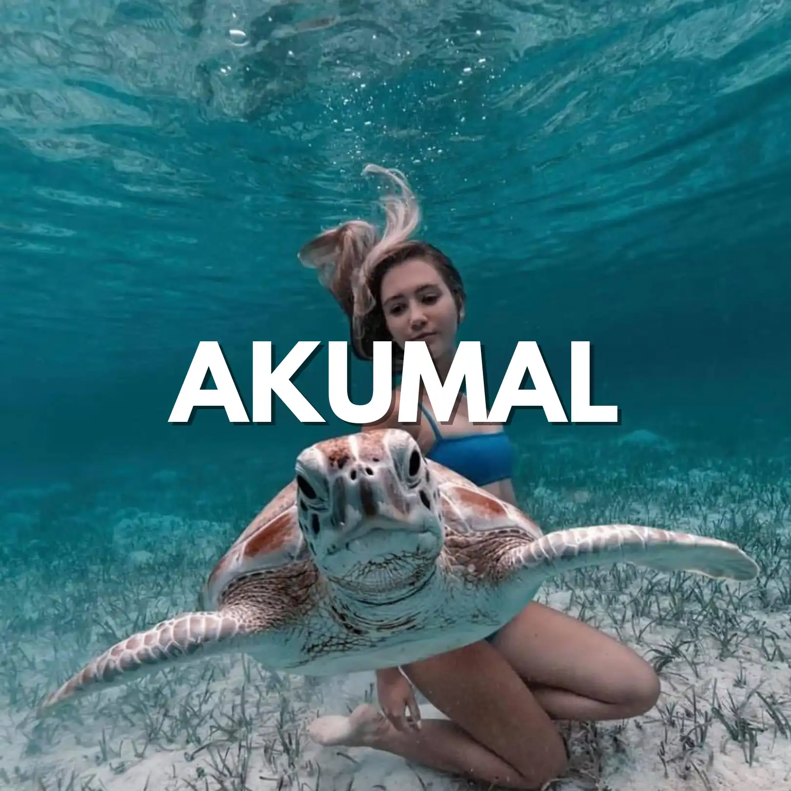Akumal: 🐢🌴 5 días en el Caribe mexicano con playas espectaculares…